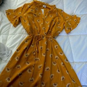 Loft brand new dress